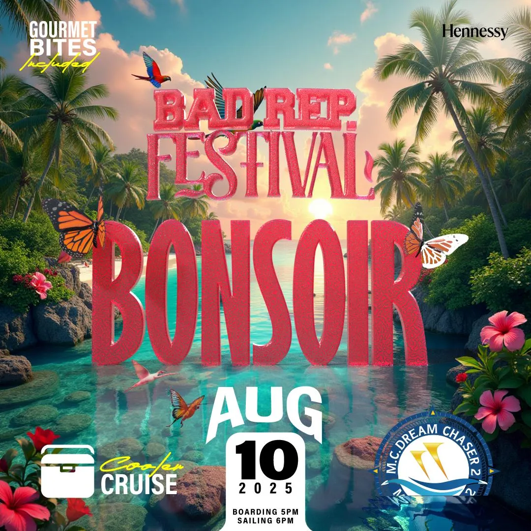 Bad Rep Festival - Bonsoir
